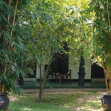 Sandra Guesthouse Dambulla Exterior foto